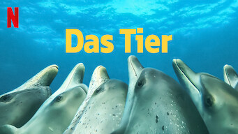 Das Tier (2022)