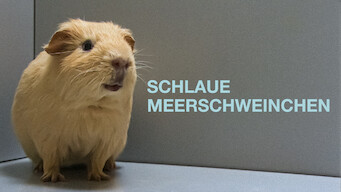 Schlaue Meerschweinchen (2013)