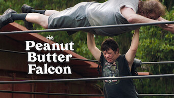 The Peanut Butter Falcon (2019)