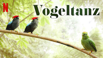 Vogeltanz (2019)