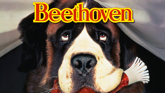 Ein Hund namens Beethoven