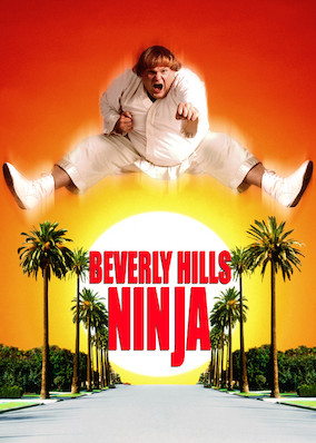 Beverly Hills Ninja